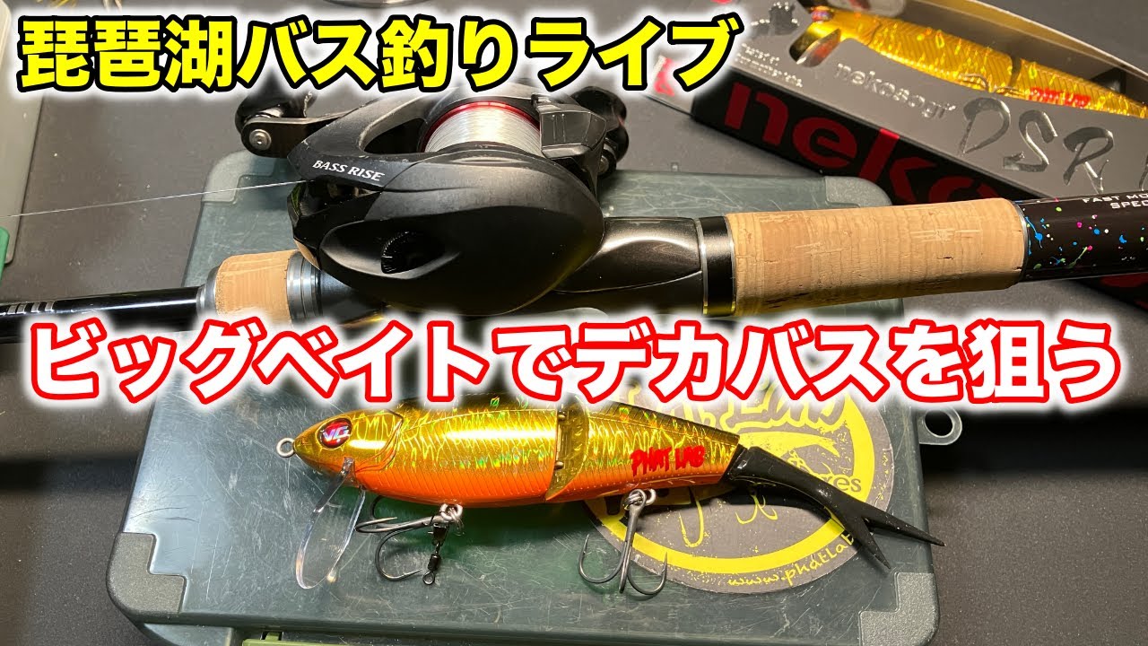 琵琶湖バス釣りライブ】冬のデカバスを釣り上げる可能性が高い（かも