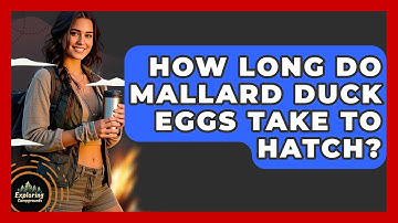 How Long Do Mallard Duck Eggs Take To Hatch? - Exploring Campgrounds