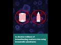 Breastmilk Substitutes Industry Capitalizing On COVID 19 Pandemic Breastmilk Substitutes Industry Capitalizing On COVID 19 Pandemic