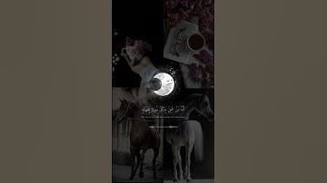 اكتب شيئ تؤجر عليه_ستوريات قران كريم رعد الكردي