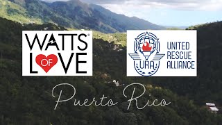 Watts of Love & United Rescue Alliance in Puerto Rico by Salty Roan Productions 47 views 4 years ago 1 minute, 24 seconds