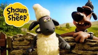 Bad Boy / Remote Control | 2 x Episodes | Shaun the Sheep S4