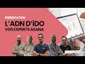 Ladn dido vos experts asana