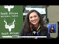 Kruger National Park | The rangers who saw It change, survive, thrive