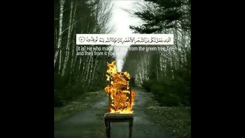 القارئ الشيخ فارس عباد ❤️♥️♥️(حالات واتس اب)