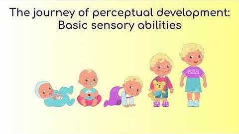 PERCEPTUAL DEVELOPMENT - BASIC SENSORY ABILITIES