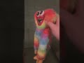 That one video