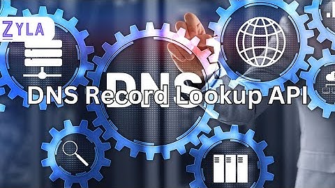 DNS Record Lookup API