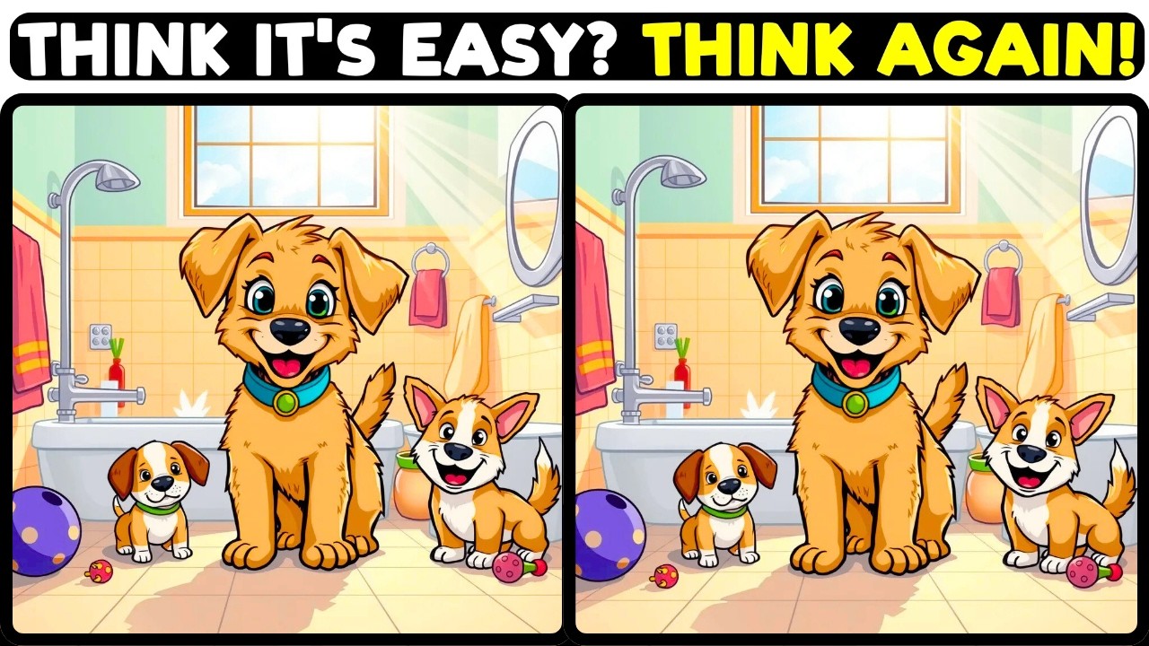 Can you find the 3 differences between the two pictures in under 90 seconds?
