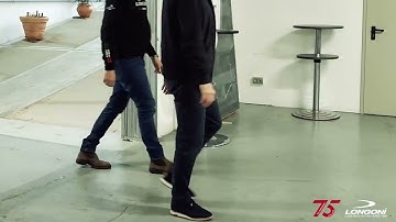 Dutch Lion cue by Dick Jaspers - A new discover