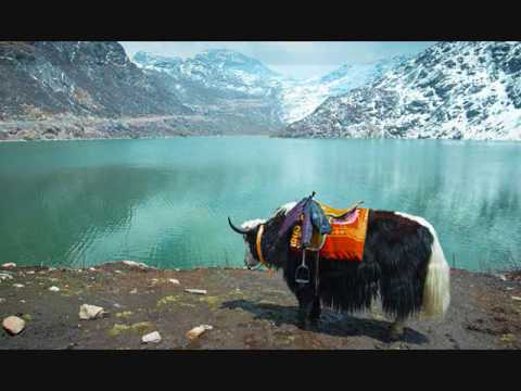 Tujhe yaad na meri aayi Sushma Chhettri