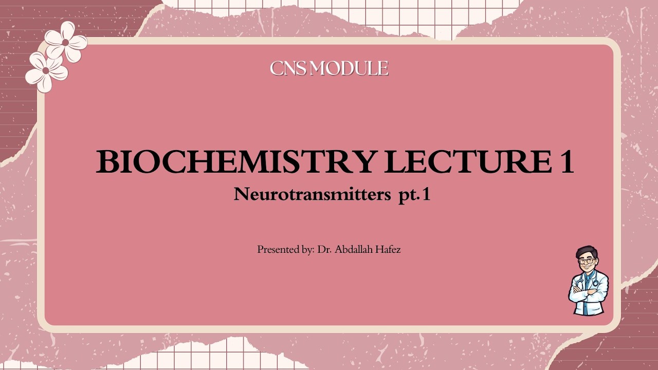 bio CNS lec 1 - YouTube