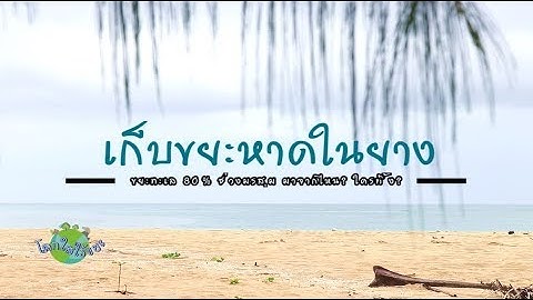 โลกใสไร้ขยะ : เก็บขยะหาดในยาง “ขยะทะเล” 80% ช่วงมรสุม มาจากไหน ? ใครทิ้ง? #เก็บขยะ #phuket