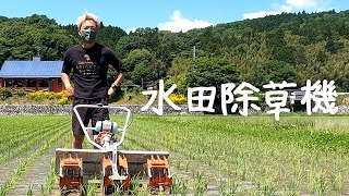 竹ちゃんはじめての水田除草機 / Take-chan's first paddy weeder