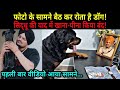 Siddhu Moose Wala के dog ने खना-पीना छोड़ा | NOOK POST #sidhumoosewala #doglover #dog