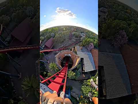 Sheikra at Busch Gardens Tampa 2025 10 16