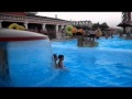 VLOG Summer 2012