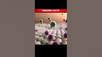 The Human Body’s Hidden Electricity 🔋 | Amazing Science Fact | #shorts