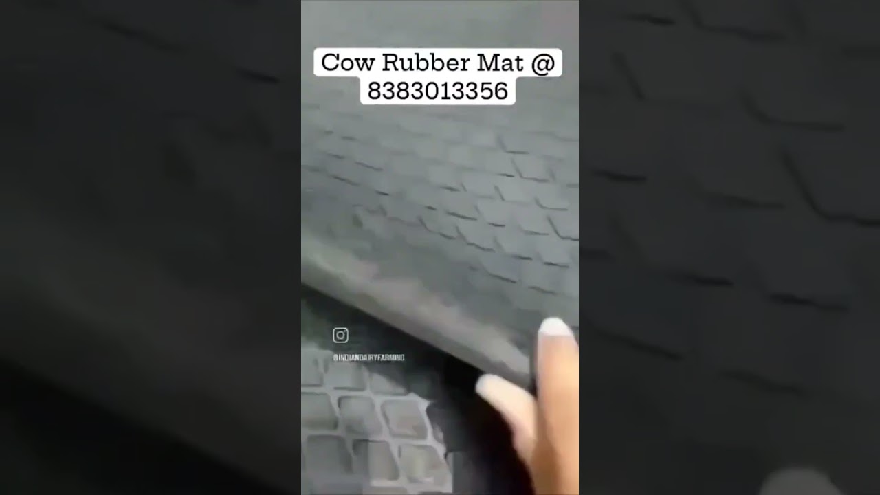 Cow Rubber Mats #cowmat #cowmatfactory #cowmattress ##cowmatmanufacturing #mats #dairyequipment