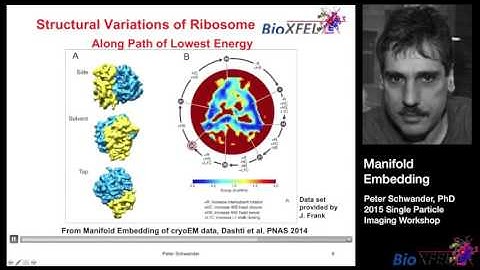 Manifold Embedding - Peter Schwander