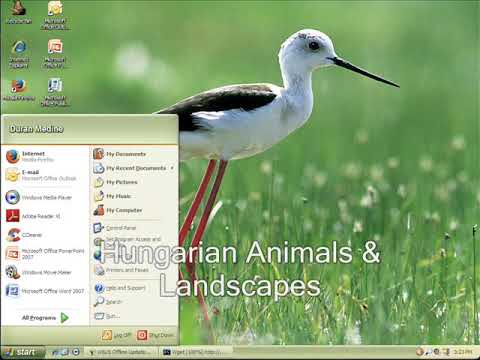 Classic Windows XP Desktop Themes Startup and Shutdown Sounds V3