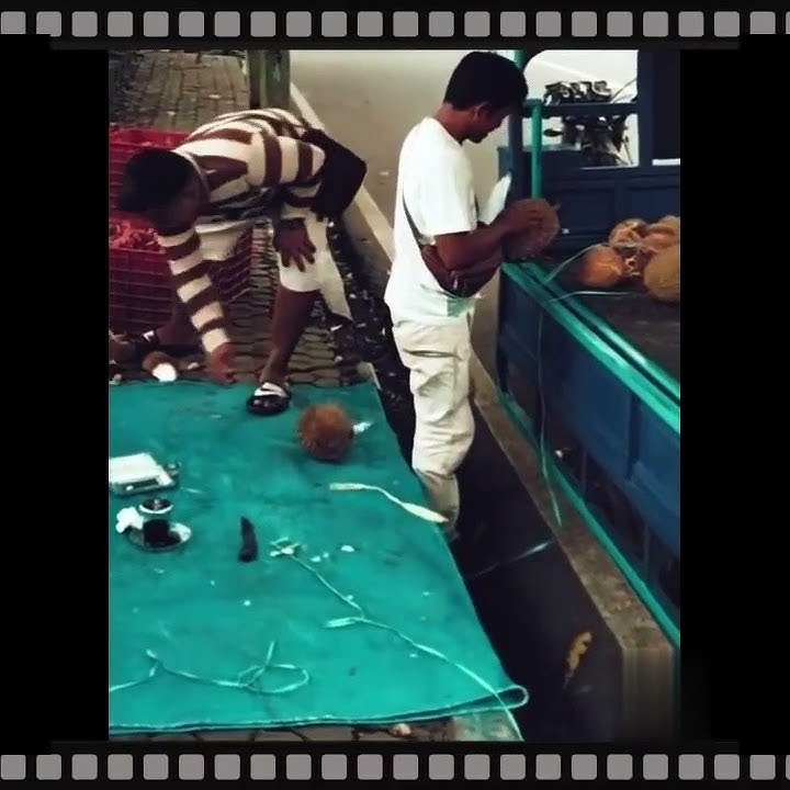 Story WA Lucu - Pantat VS Durian