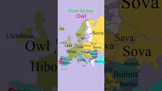 How To Say Owl Birds European Languages Comparison