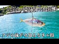 エギング辞めてアジの泳がせウキ釣りでアオリイカを狙ったら・・・