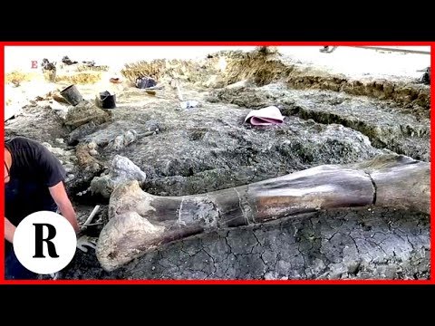 Video: Il Più Grande Osso Di Dinosauro Della Storia è Stato Scoperto In Francia - Visualizzazione Alternativa