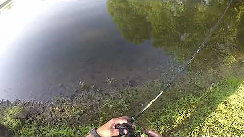 Pond Fishing 8/1/2020