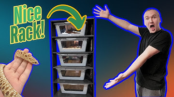 DIY Snake Rack Build - Step-by-Step for Reptile Keepers!