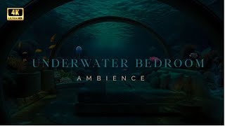 Underwater Journey 4Kpeaceful Underwater Ambience With Colorful Fish & Corals Sleep & Relax