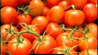 Daty I Pomidory Importer Hurtownia Dostawca I Eksporter