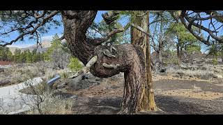 My Sunset Crater Volcano National Monument visit.                                February 25, 2025