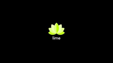 LIME - EXPLAINED