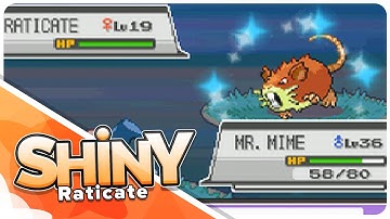 [Live] Full Odds Shiny Raticate at 2135 Random Encounters!!