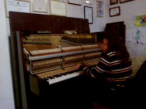 წარჩინებული პიანისტი