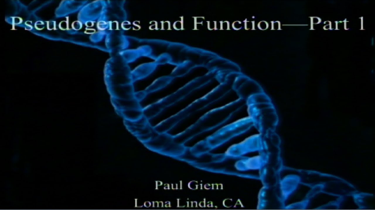 Pseudogenes and Function (Part 1) 1-18-2020 by Paul Giem
