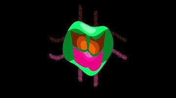 All Windows Animations From MS Paint in G Major 1615