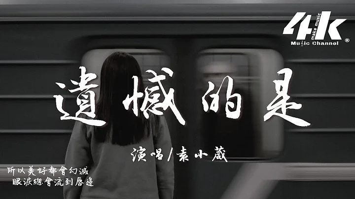 袁小葳 - 遗憾的是‘遗憾的是天黑了你却不在我身边，突然失落的瞬间。’【高音质|动态歌词Lyrics】♫ - 天天要闻