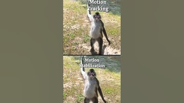 Testing my motion tracking video editor app for Android using video from: kekethespidermonkey TikTok