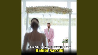 Habibi Nassibi