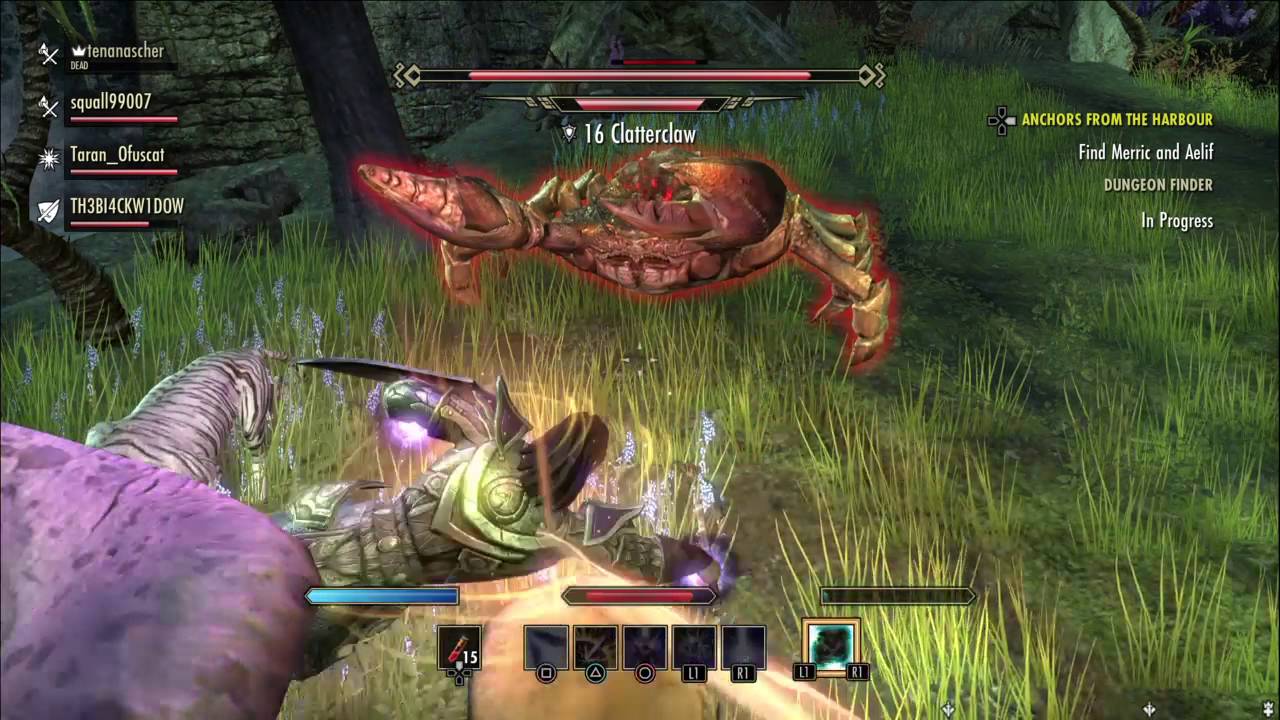 The Elder Scrolls Online Dungeon Melee Sorcerer Tank/Dps Build YouTube