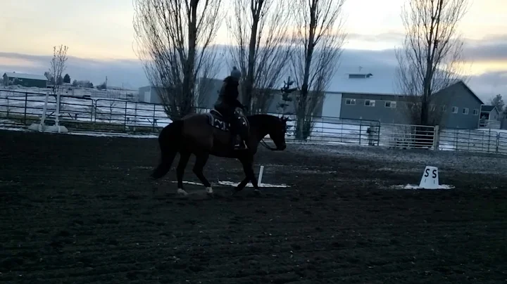 Ranch Pleasure