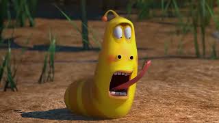 (cocolemonaa) larva NEW YORK  kids