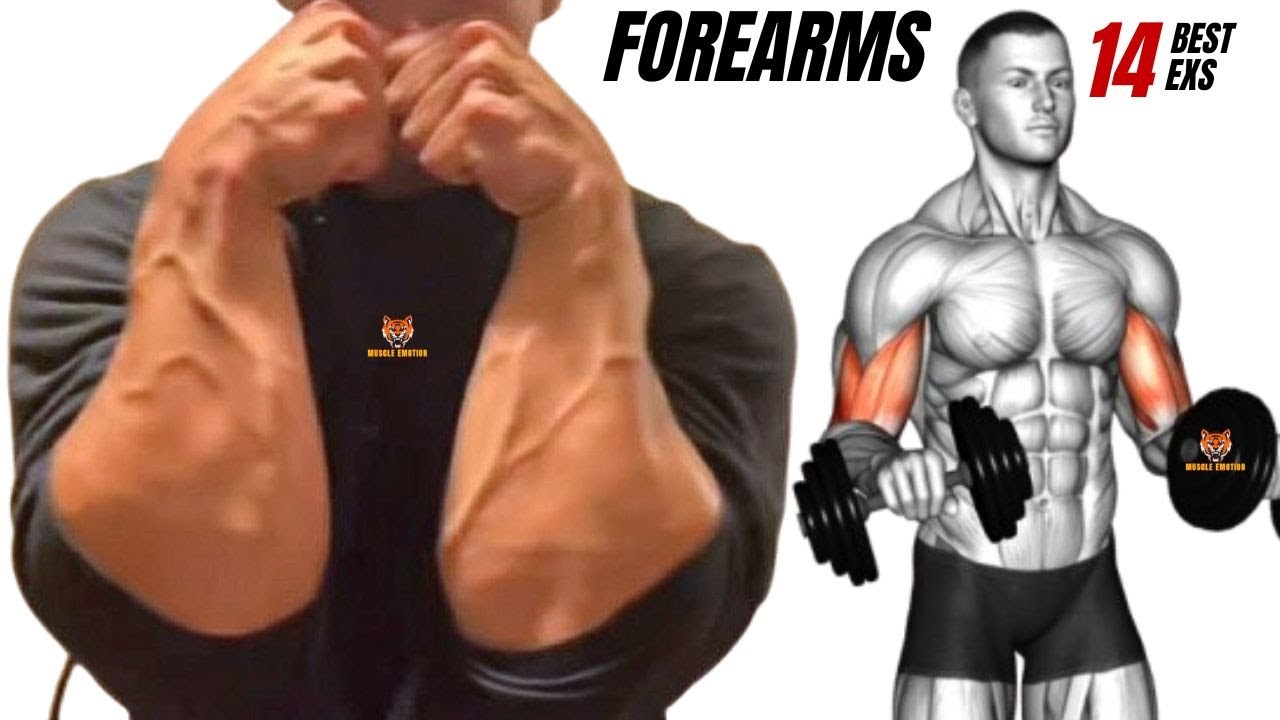 14 BEST Exercises for Bigger Forearms at Gym - YouTube