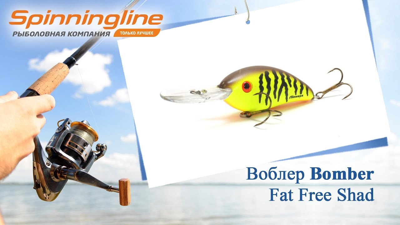 Fat Free Shad BOMBER