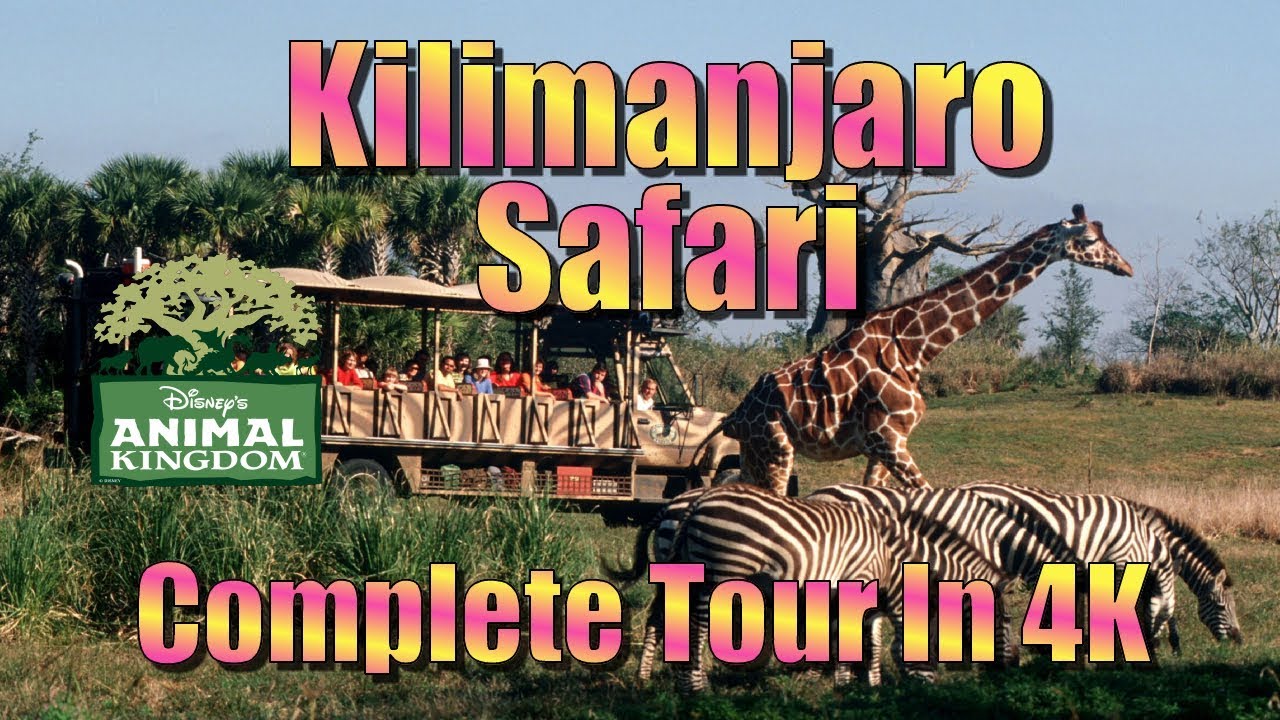 walt disney world animal kingdom safari tour