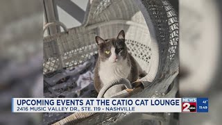 Newsmaker: Events at The Catio Cat Lounge