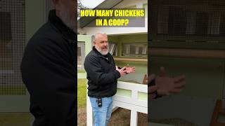 How Many CHICKENS in a COOP? #chickencoop #chickens #homesteading  #diy